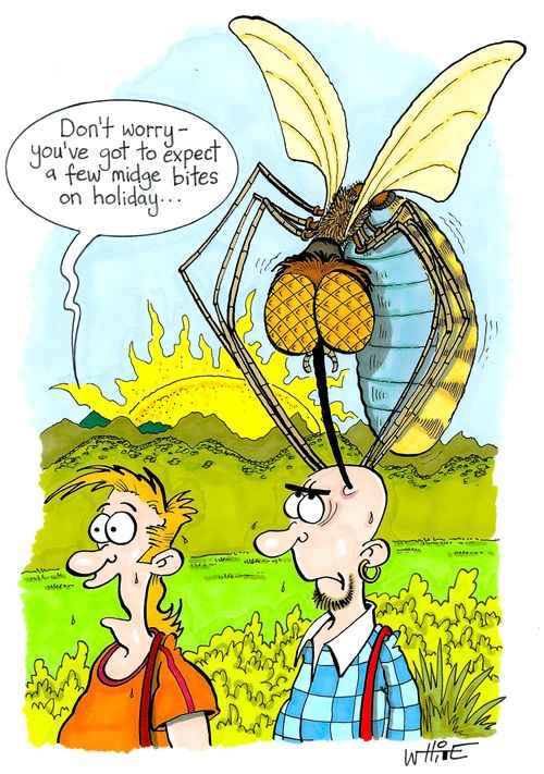 "Don't worry - you've got to expect a few midge bites on holiday..."