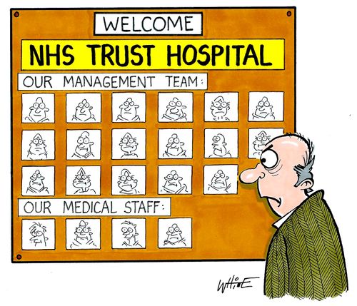NHS Trust Hospital: Management Team/Medical Staff