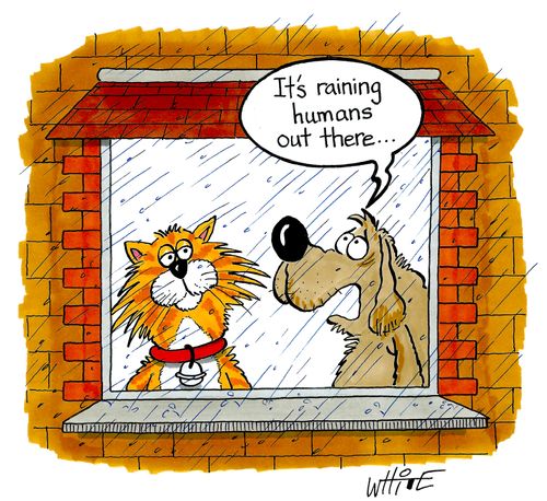 "It's raining humans out there..."