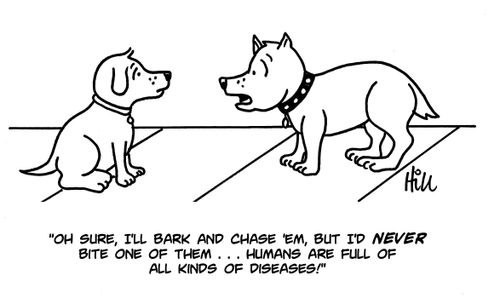 "Oh sure, I'll bark and chase 'em, but I'd never bite one of them...humans are full of all kinds of diseases!"