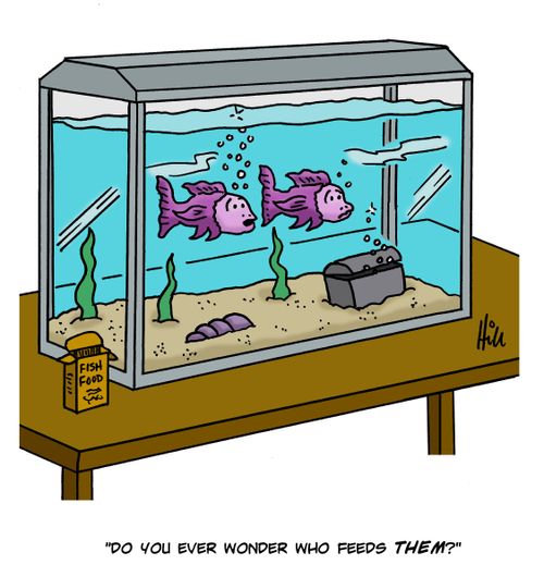 "Do you ever wonder who feeds them?"