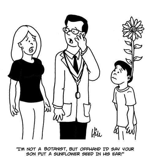 "I'm not a botanist, but offhand I'd say your son put a sunflower seed in his ear!"