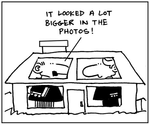 'It looked a lot bigger in the photos.'