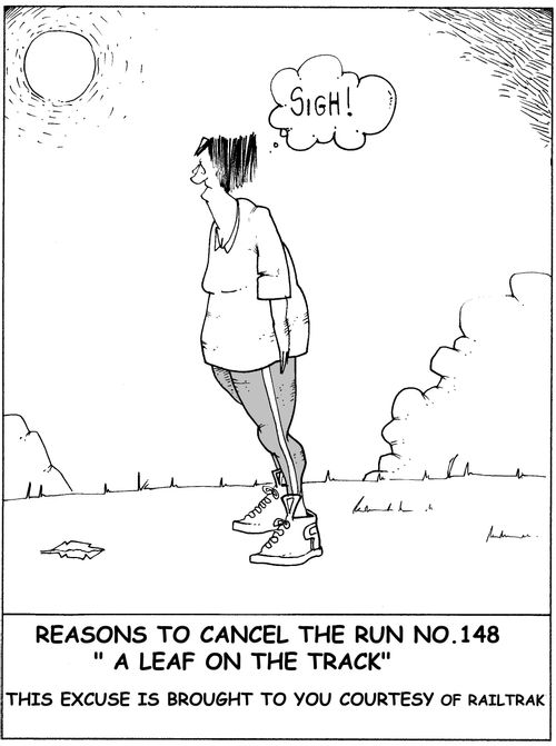 'Reasons to cancel run No. 148 'A leaf on the track''