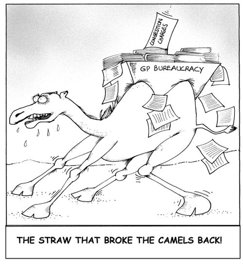 The straw that broke the camels back!