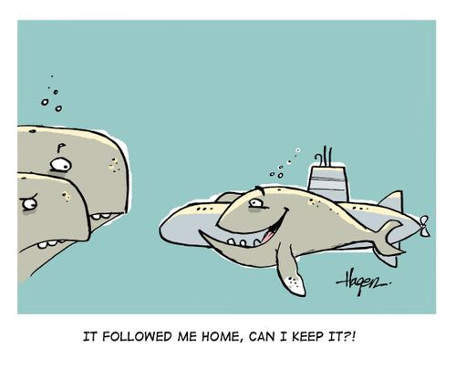 'It followed me home, can I keep it?'