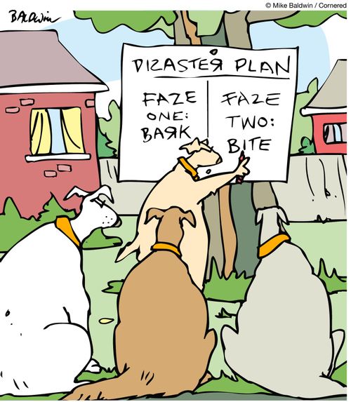 Disaster plan.