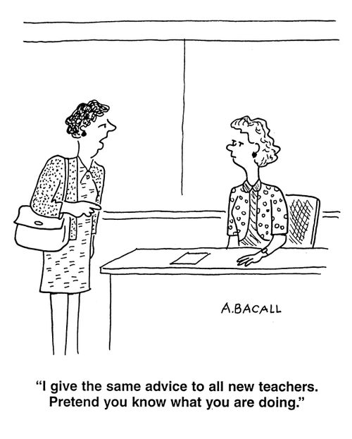'I give the same advice to all new teachers.  Pretend you know what you are doing.'