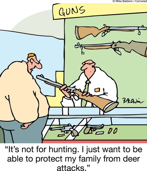 'It's not for hunting. I just want to be able to protect my family from deer attacks.'
