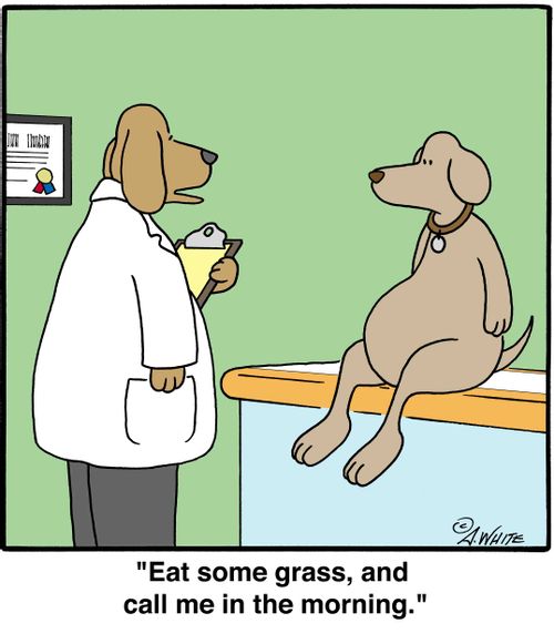 'Eat some grass, and call me in the morning.'