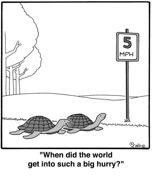 'When did the world get into such a big hurry?'