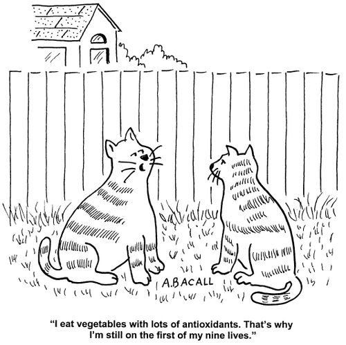 'I eat vegetables with lots of antioxidants. That's why I'm still on the first of my nine lives.'