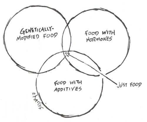 'Genetically-modified food' -'Food with hormones' - 'Food with additives'