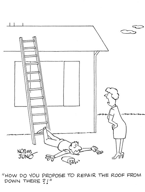 'How do you propose to repair the roof from down there?!'
