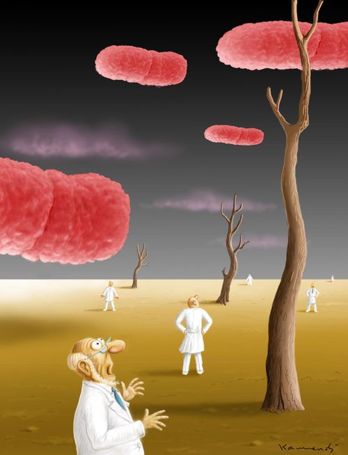 EHEC Bacterium