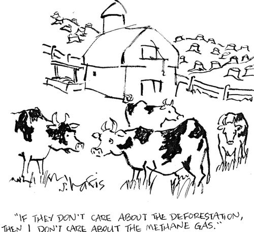 'If they don't care about the deforestation, then I don't care about the methane gas.'