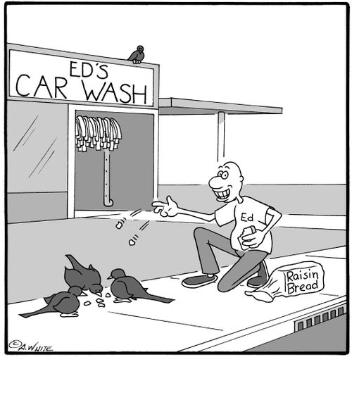 Ed's Car Wash,