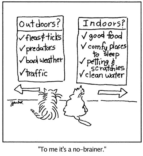 Cats reading 2 lists on a wall. Under each list are arrows pointed either 'Outdoors' or 'Indoors.' The indoor list reads 'good food, comfy places to sleep, petting and scratchies, and clean water.' One cat remarks 'To me it's a no-brainer.'