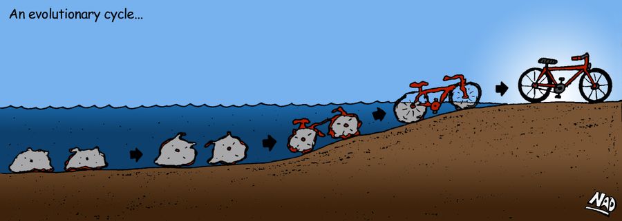 An evolutionary cycle - A bicycle emerges from the water after evolving from two amoeba