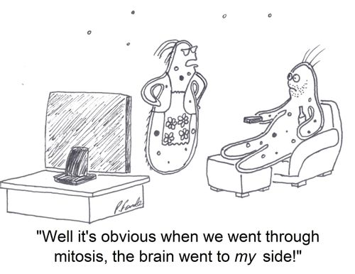 'Well it's obvious when we went through mitosis, the brain went to my side!'