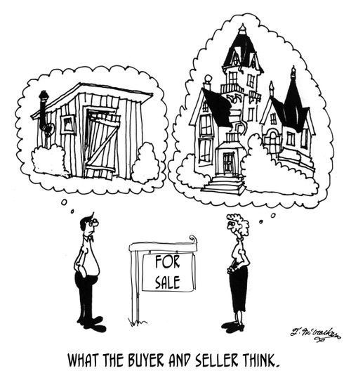 What the Buyer and Seller Think.