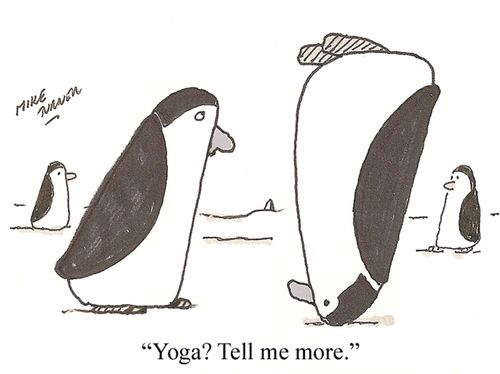 'Yoga? Tell me more.'