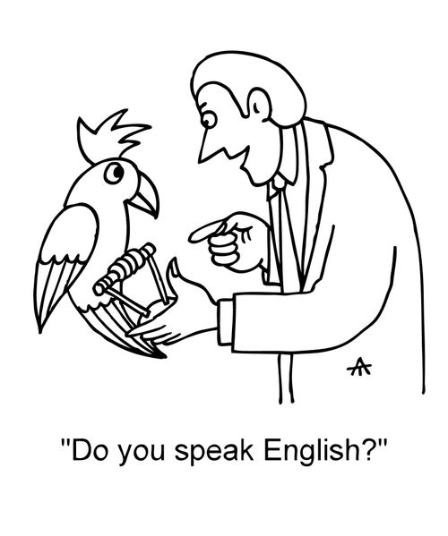 'Do you speak English?'
