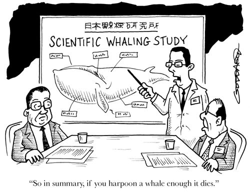 'So in summary, if you harpoon a whale enough it dies.'