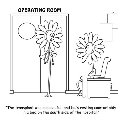 "The transplant was successful, and he's resting comfortably in a bed on the south side of the hospital."