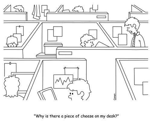 "Why is there a piece of cheese on my desk?"