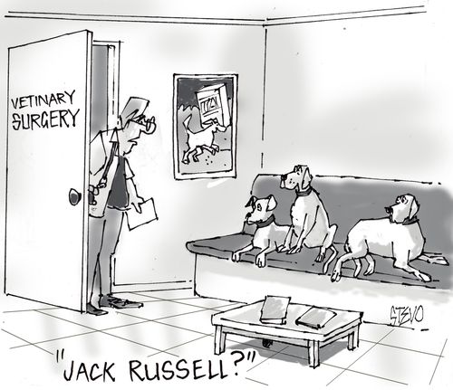 "Jack Russell?"