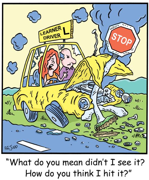 'What do you mean didn't I see it? How do you think I hit it?'