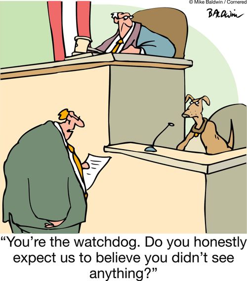 'You're the watchdog. Do you honestly expect us to believe you didn't see anything?'
