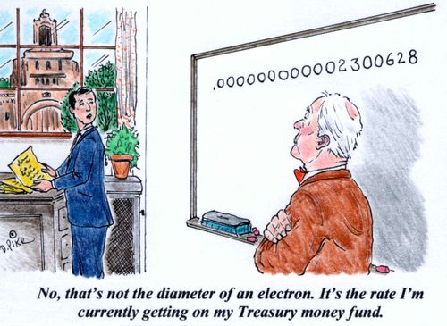 'No, that's not the diameter of an electron. It's the rate I'm currently getting on my Treasury money fund.'