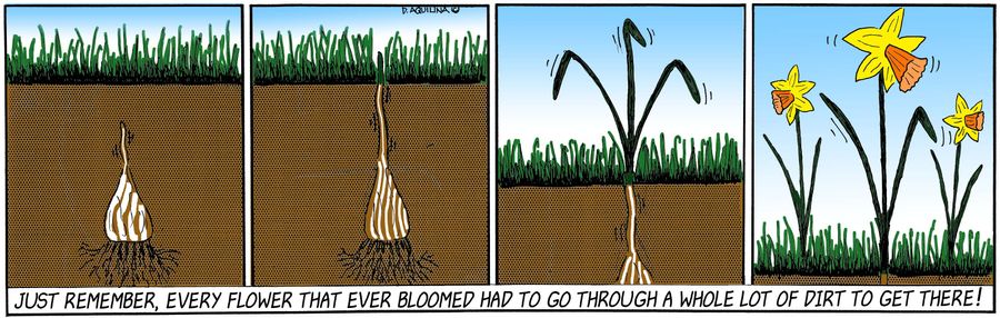 Every flower that ever bloomed had to go through a whole lot of dirt to get there.