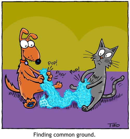 Finding common ground.