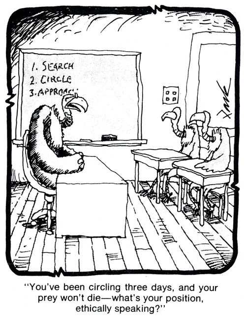'you've been circling three days, and your prey won't die - what's your position, ethically speaking?'