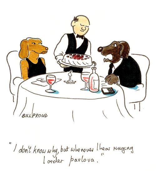 'I don't know why, but whenever I hear ringing I order pavlova.'