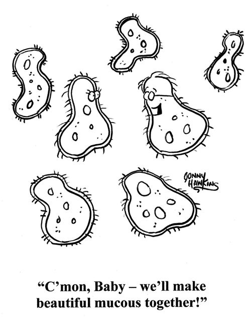 'C'mon, Baby - we'll make beautiful mucous together!'