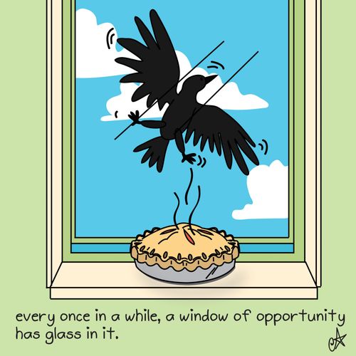 'Every once in a while, a window of opportunity has glass in it'