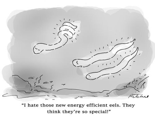 'I hate those new energy efficient eels. They think they're so special.'