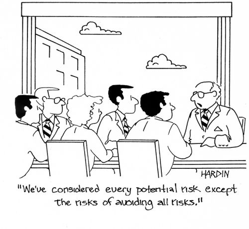 'We've considered every potential risk except the risks of avoiding all risks.'