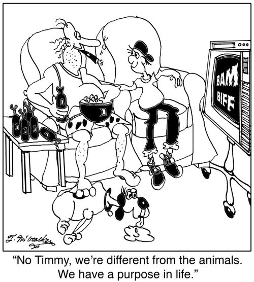 'No Timmy, we're different from the animals. We have a purpose in life.'
