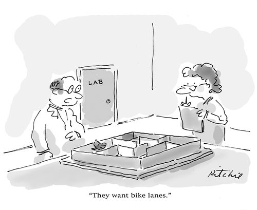 'They want bike lanes,'