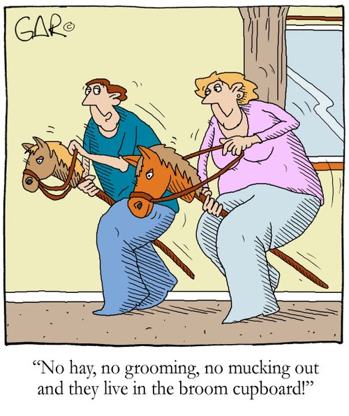 'No hay, no grooming, no mucking out and they live in the broom cupboard!'