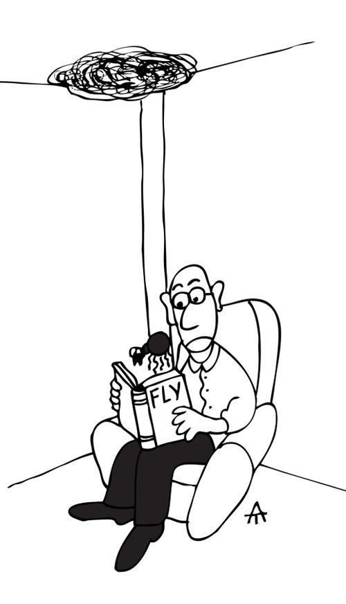 A spider drops down from the ceiling to read a man's book on flies.