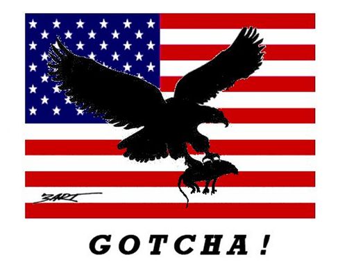 GOTCHA!