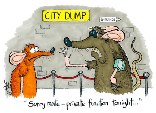 rat function