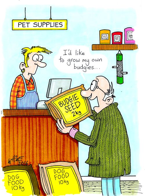 "I'd like to grow my own budgies."
