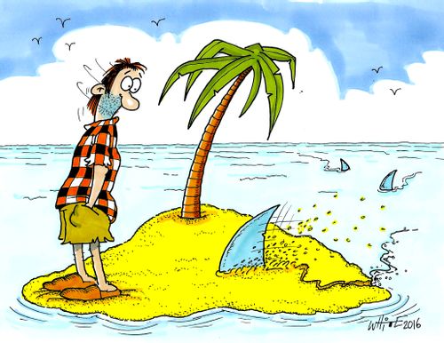 A shark swims into a desert island.